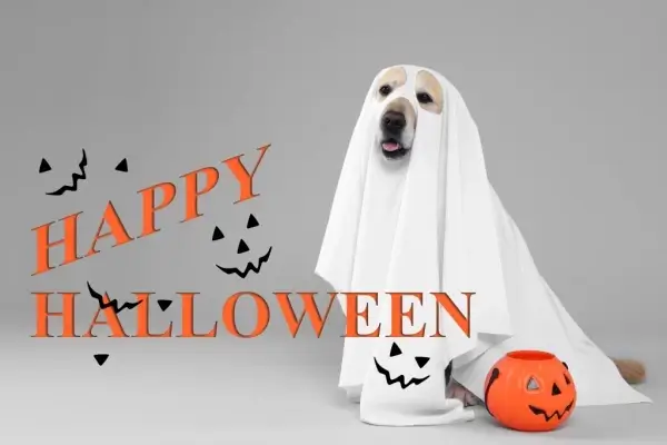 Happy Halloween from Advanced Funding Home Mortgage Loans